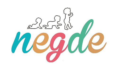 Nes Bütüncül Bilişim